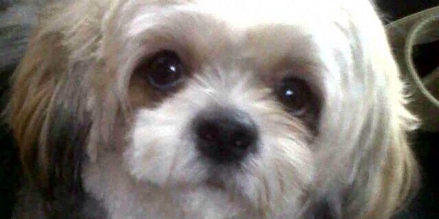 Rike Amru 🌱 banner