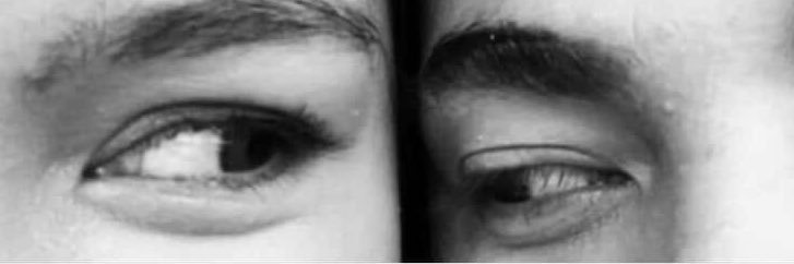 🧀 banner