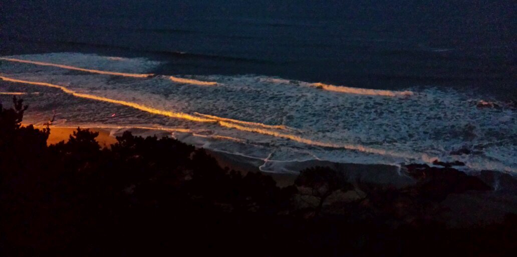 nancmevans's profile banner image