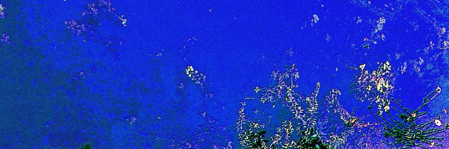 Roaming Words banner