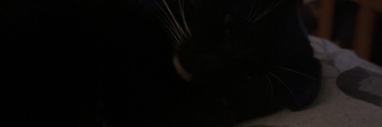 sheikayy's profile banner image