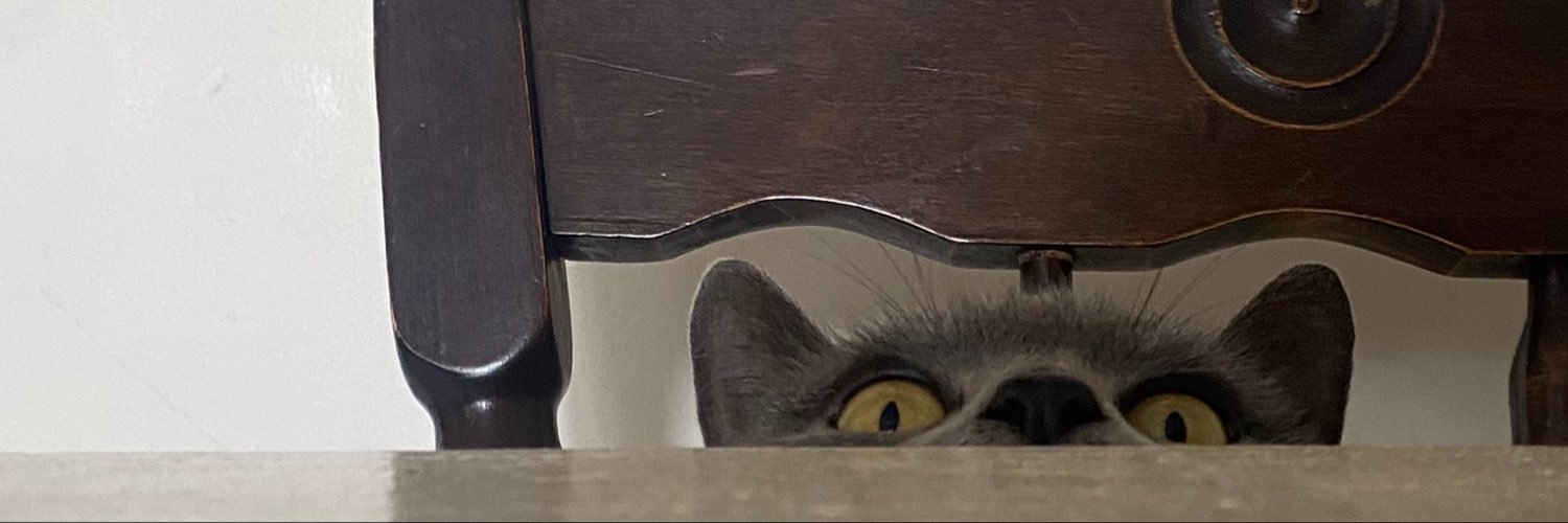 kassirbb's profile banner image
