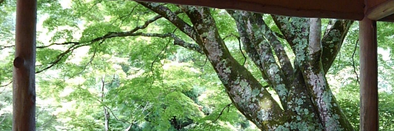 oretachino's profile banner image