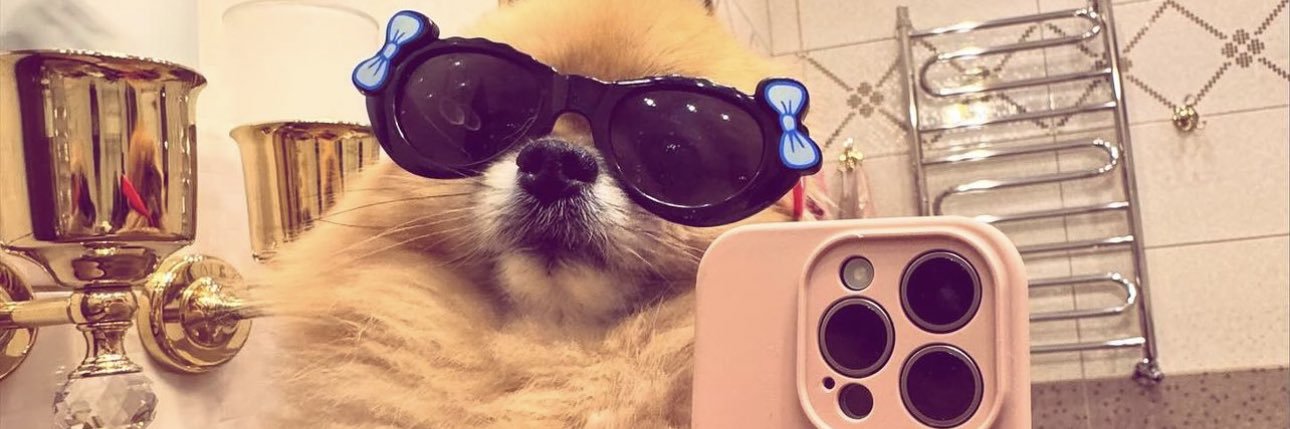 Farfrombasic_'s profile banner image