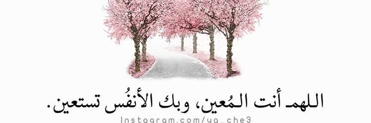 eman_alsalh9's profile banner image