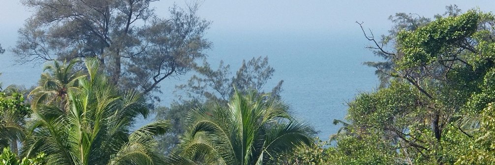berlonger's profile banner image