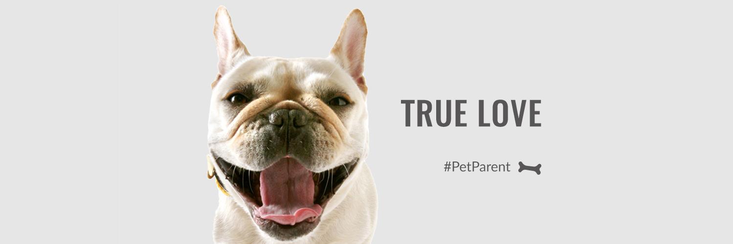 petparentUSA's profile banner image