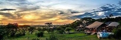 Count Guigues IV of Albon banner