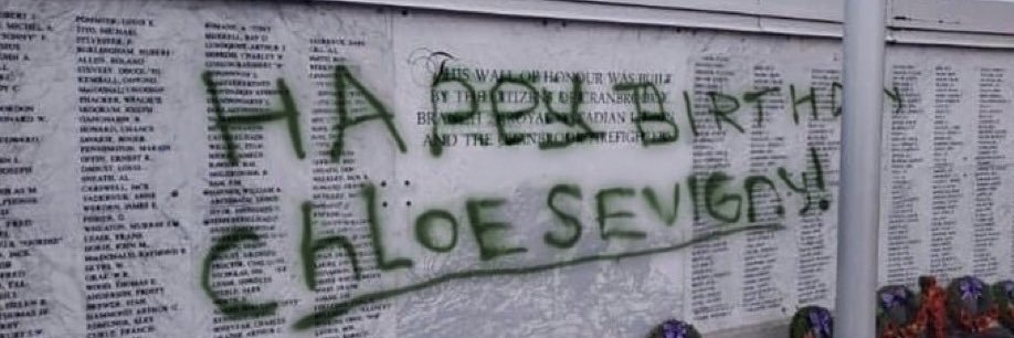 BJORKANDBEANS's profile banner image