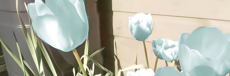HiJiw00's profile banner image