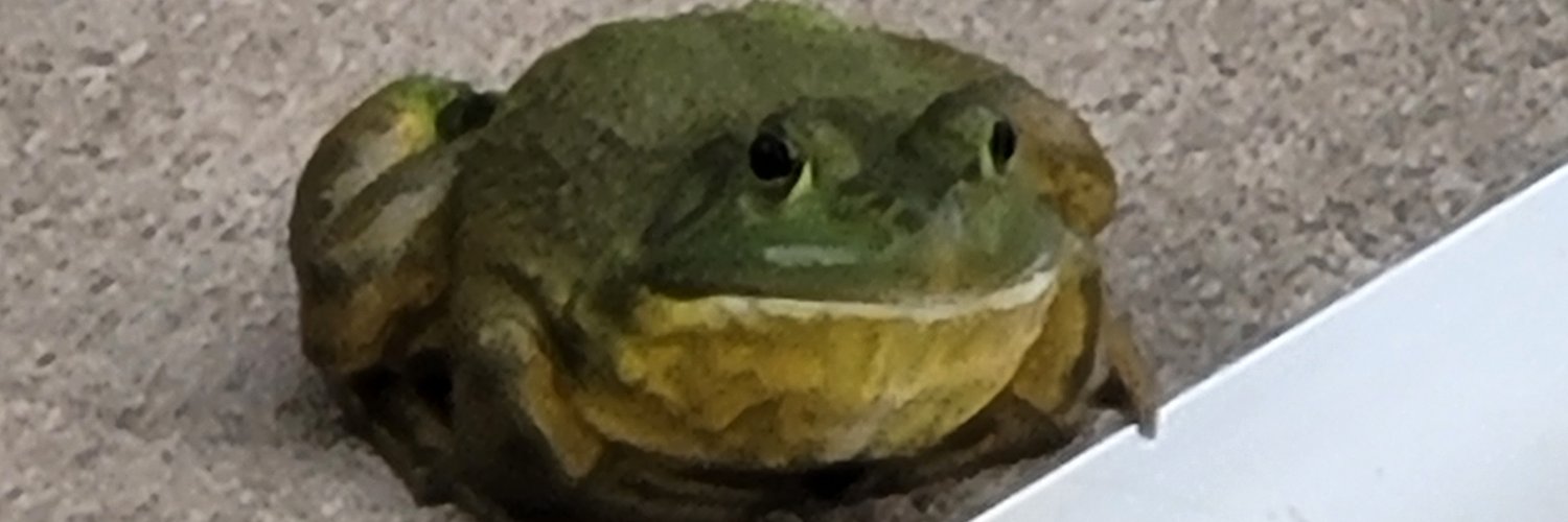 eRock's profile banner image