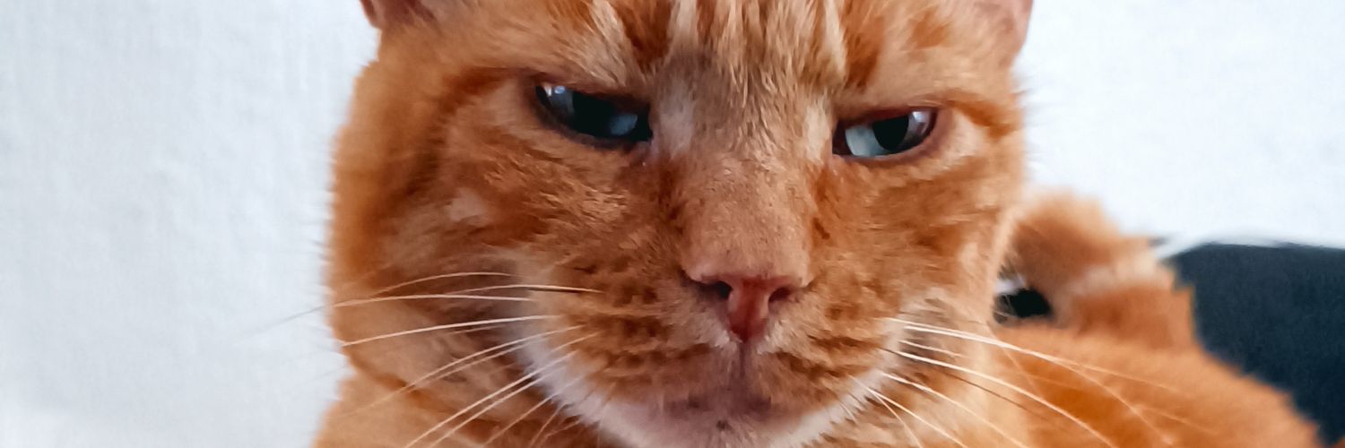 RadekaRaso's profile banner image
