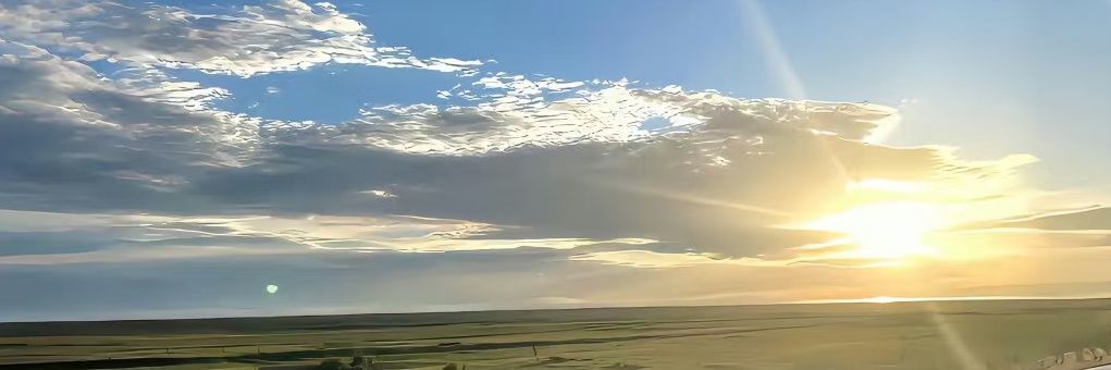 artmcps's profile banner image