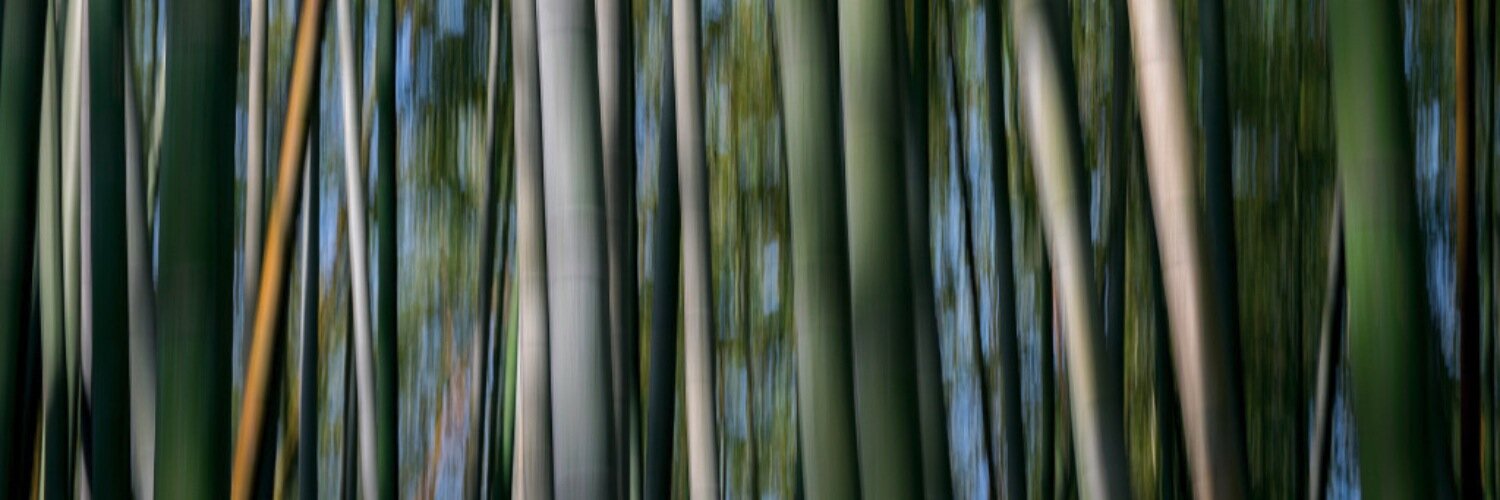 AmandaCowanPhoto banner