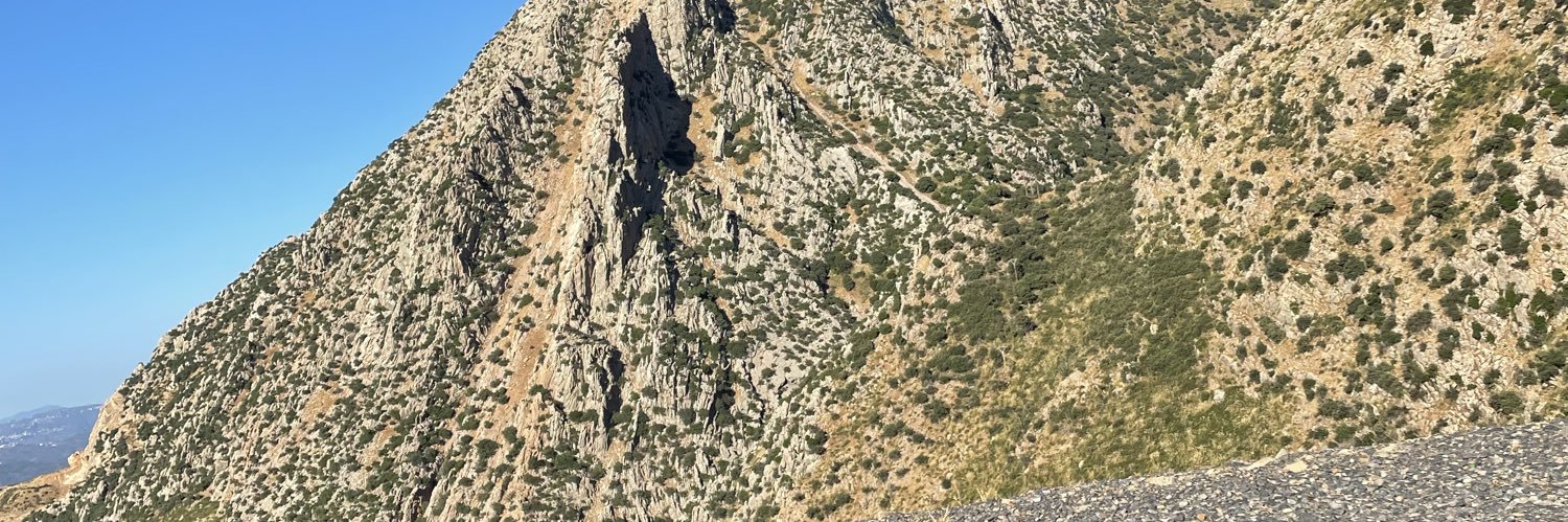 Said🇫🇷🇩🇿 ⭐️⭐️ banner