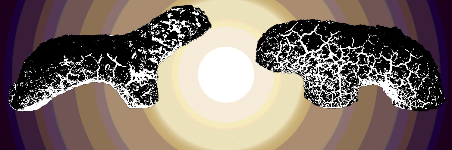シットとシッポ's banner