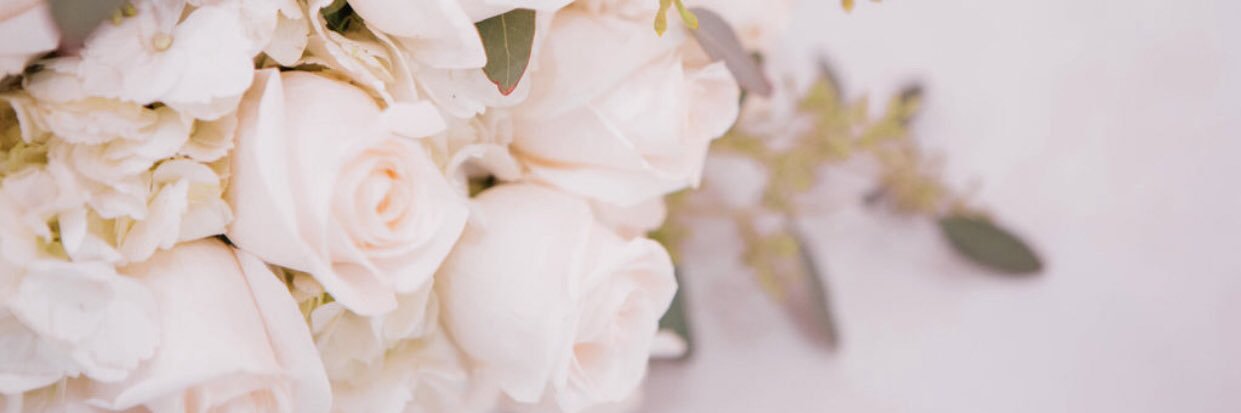 HausOfTima's profile banner image