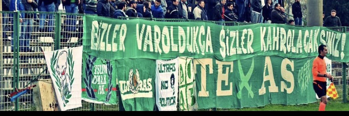 coccodrillo banner