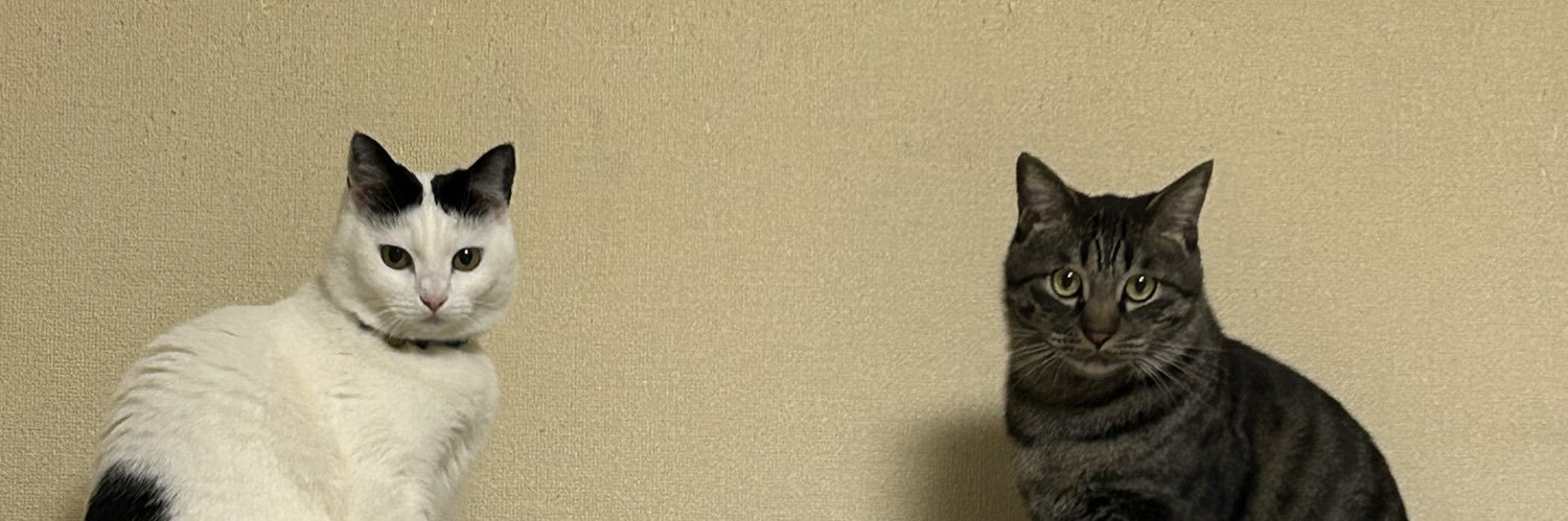 naocho (なおちよ) banner