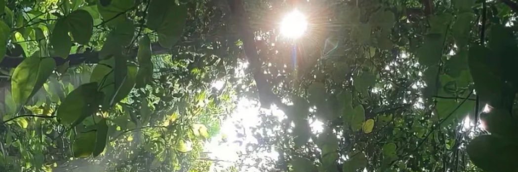 一点都不可爱 banner