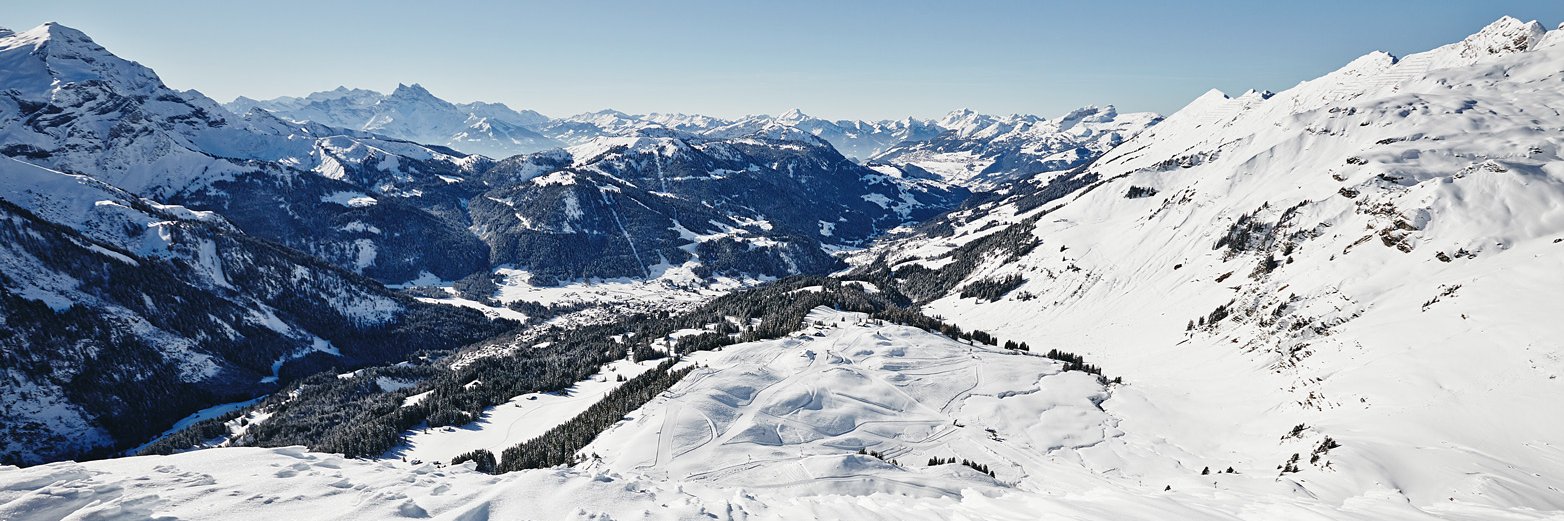 Les Diablerets banner