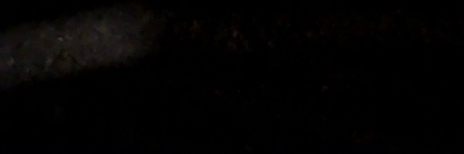Vices banner