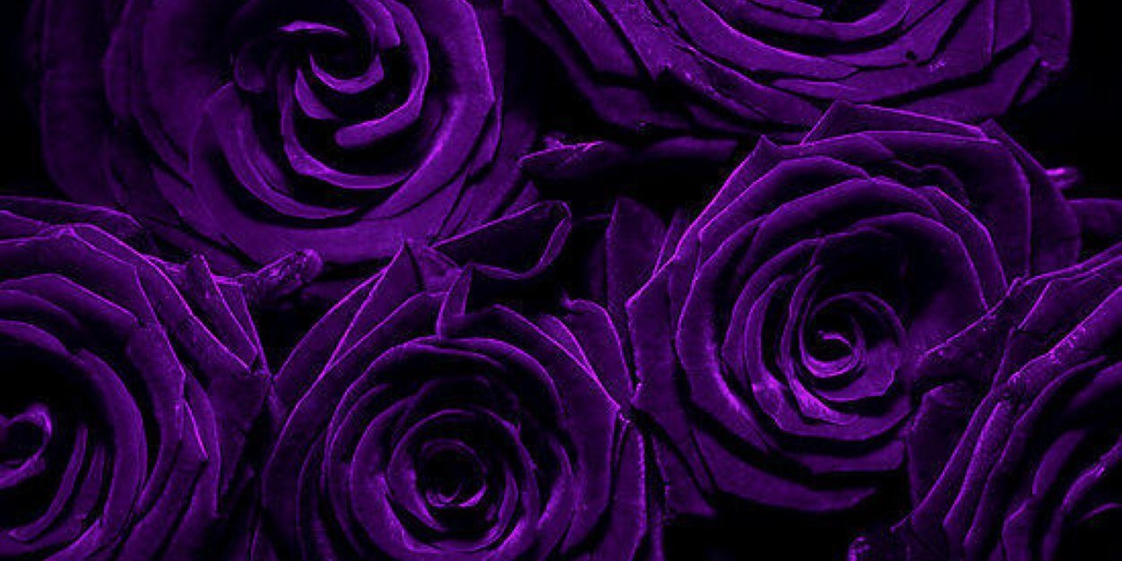 215Mooon's profile banner image