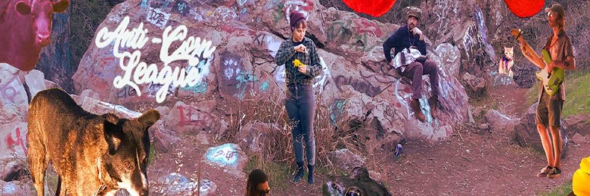 AntiCornLeague's profile banner image