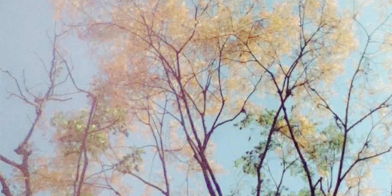 agathAthaa's profile banner image