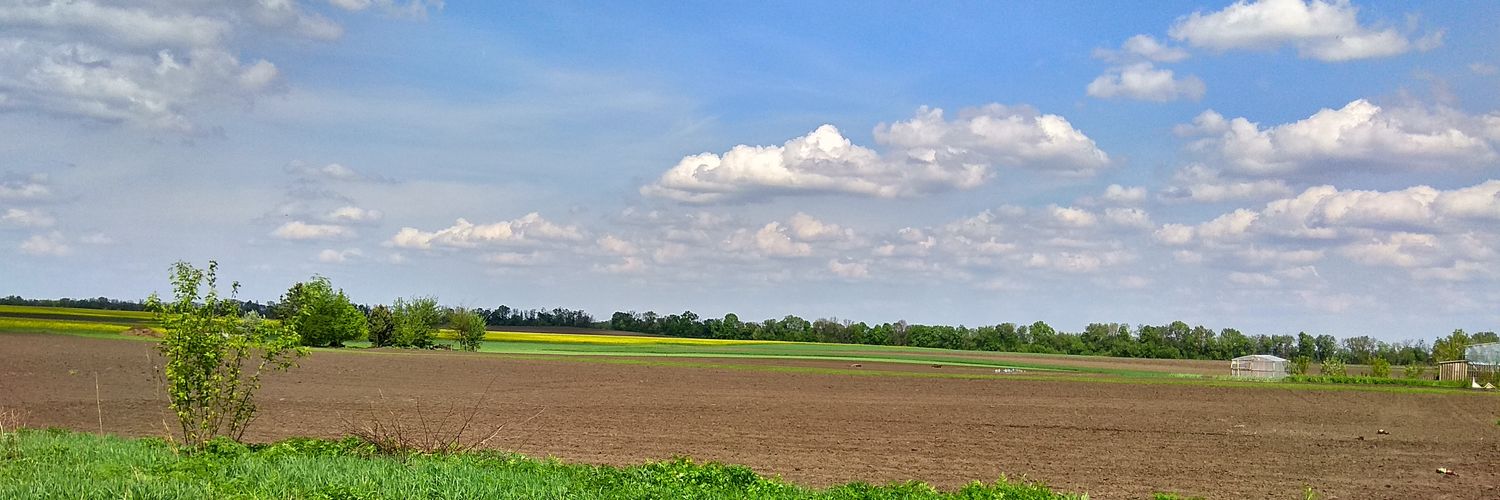 🇺🇸 Бaрденівeць 🇺🇸 banner