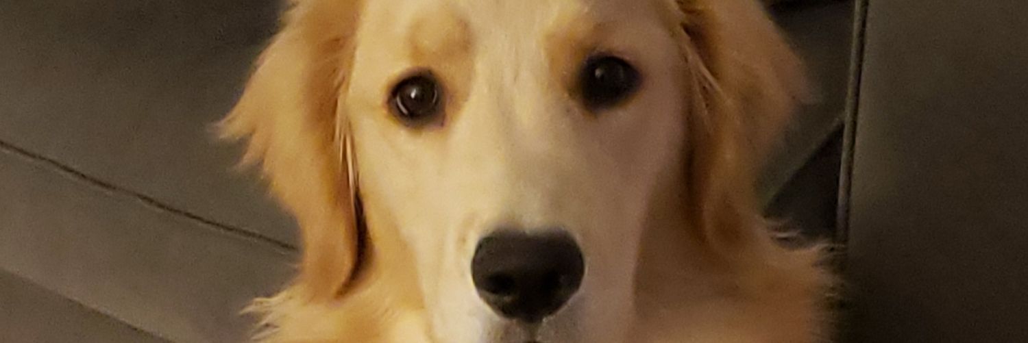 pat_man91's profile banner image