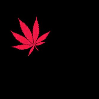 106_salm's profile banner image