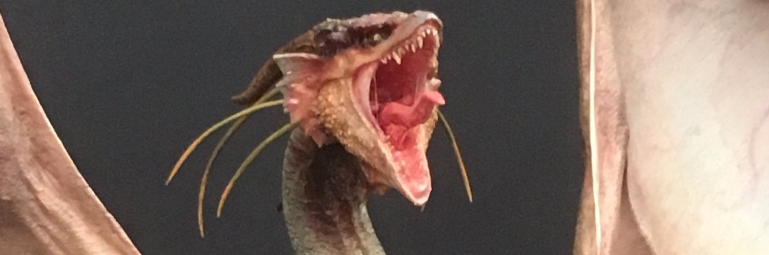 twiittan's profile banner image