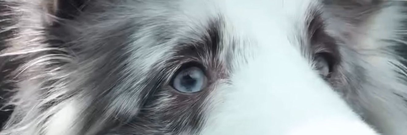 Pluvbbpp's profile banner image