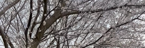 201ばんどうろ@27歳フリーターがWebエンジニア目指す banner