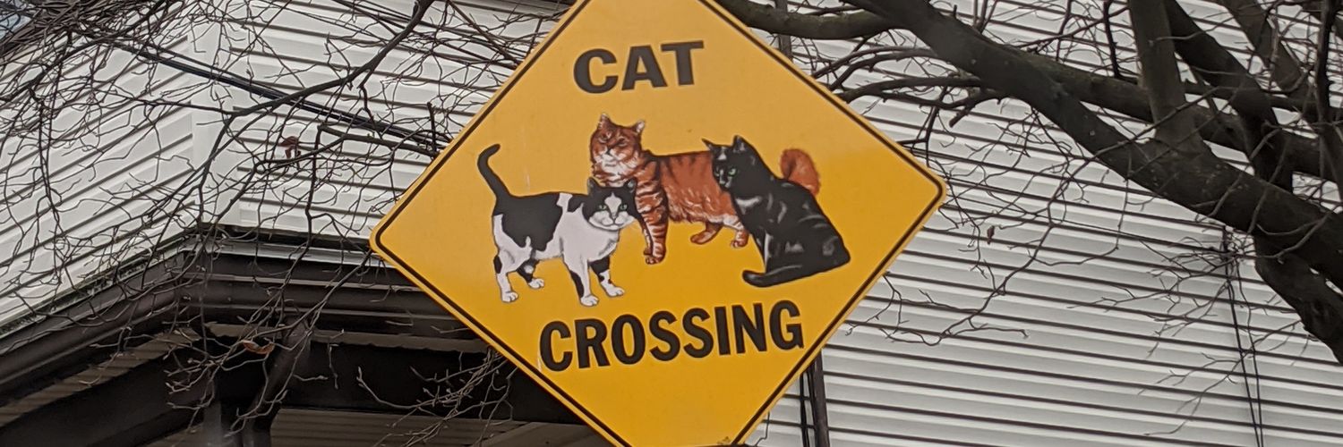 SamsMeow's profile banner image