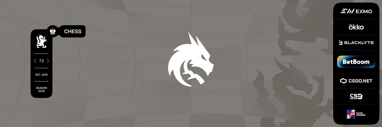 Team Spirit Chess banner