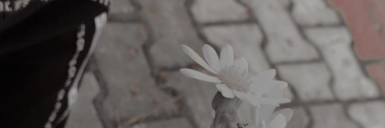 O36r0's profile banner image