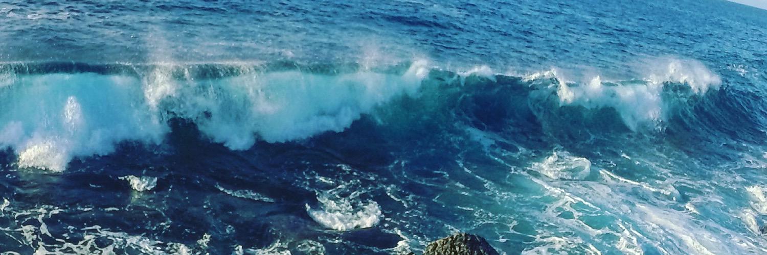 Peyton Coffee banner