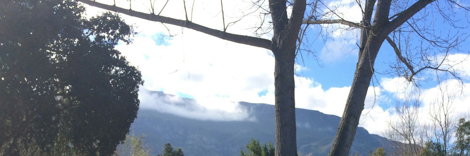 ilsedistin's profile banner image