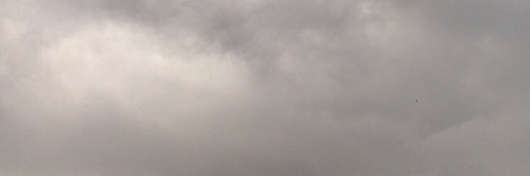 ayuleestari's profile banner image