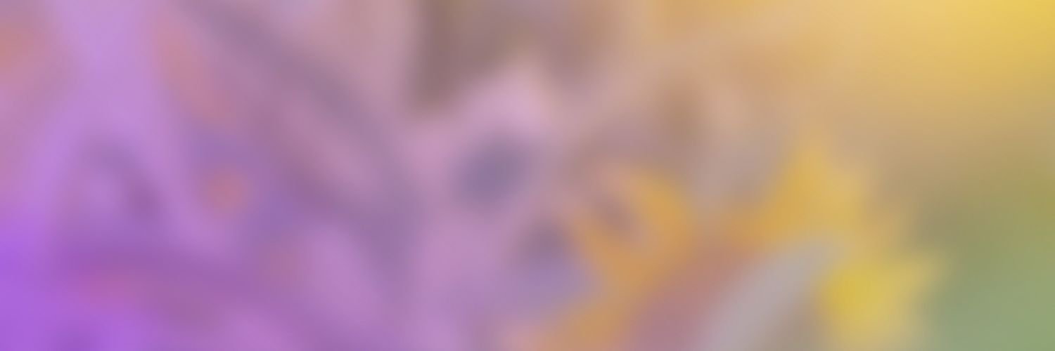 Ulul__Albab's profile banner image