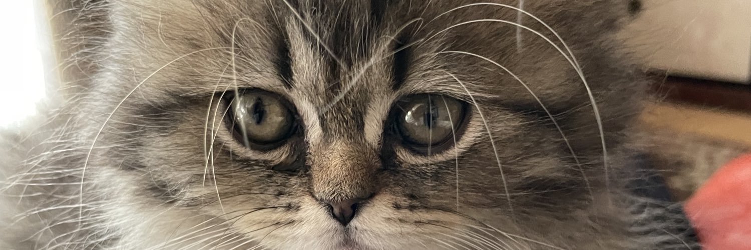 tochopon's profile banner image