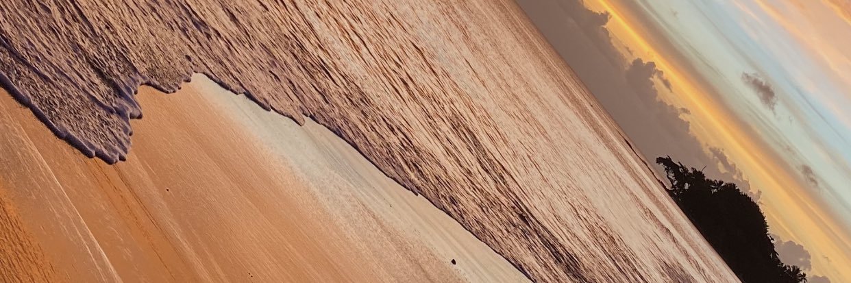EnidTathiana's profile banner image