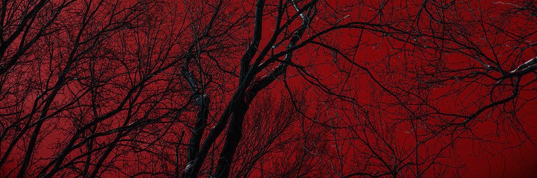 smcnever's profile banner image
