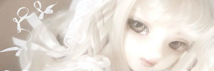 steinleyz's profile banner image