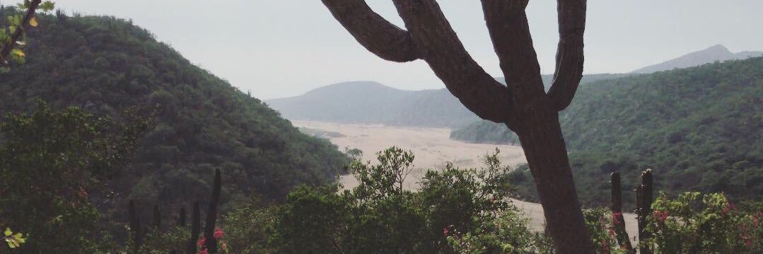 Iamthemornings's profile banner image