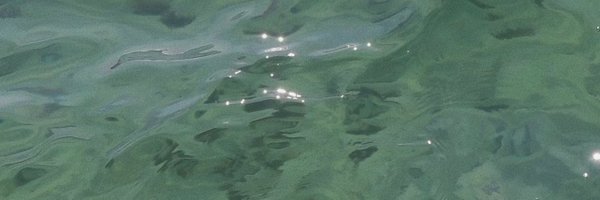 httpdaisyy Profile Banner