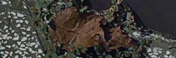 LouisLabrinth Profile Banner
