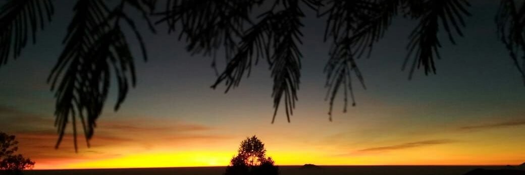 WindaFitrili's profile banner image